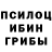 Псилоцибиновые грибы Psilocybine cubensis Danya Gopher