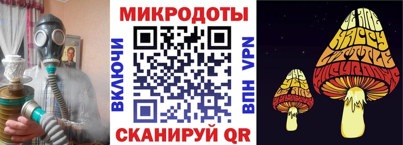 что такое   Жердевка  Псилоцибиновые грибы Cubensis 